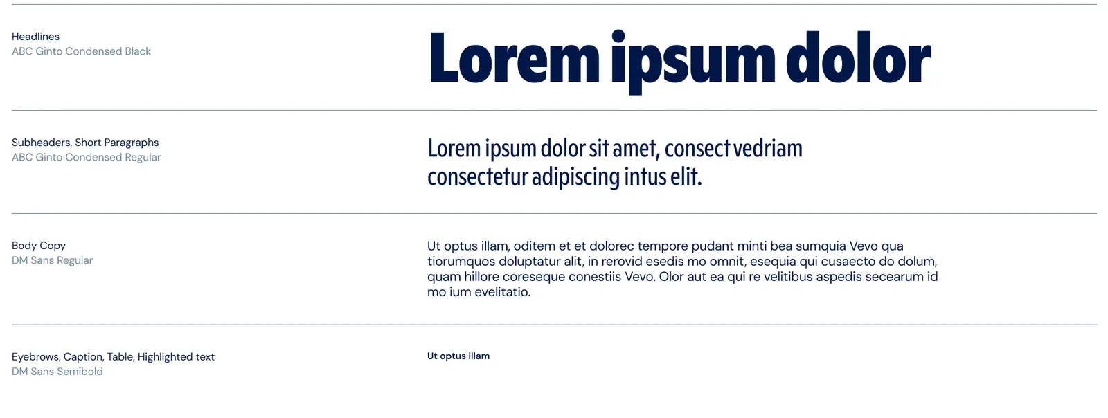 Mainsplash type roles: Ginto Condensed Black for headlines, Ginto Condensed Regular for subheads and short paragraphs, DM Sans Regular for body copy, and DM Sans SemiBold for captions